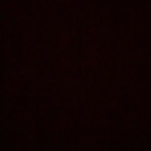 Meet your Posher, Addy